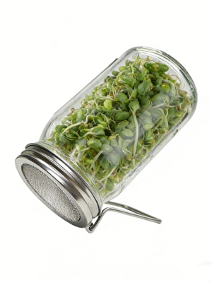 Stainless Steel 86mm Foldable Sprout Lids Seeds Sprouting Lids for Wide Mouth Mason Jars